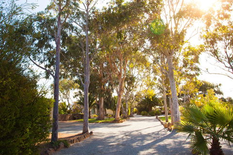 Modra\'s Apartments - Accommodation Brunswick Heads 0