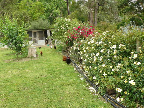 Camawald Coonawarra Cottage B&B - Accommodation Brunswick Heads 3