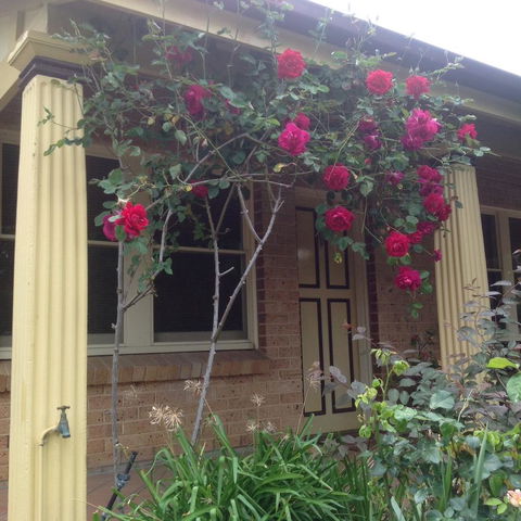 Oats Cottage - Accommodation Brunswick Heads 3