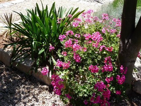Country Bakehouse Accommodation - Accommodation Brunswick Heads 18