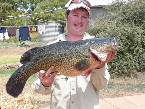 Country Bakehouse Accommodation - Accommodation Brunswick Heads 20