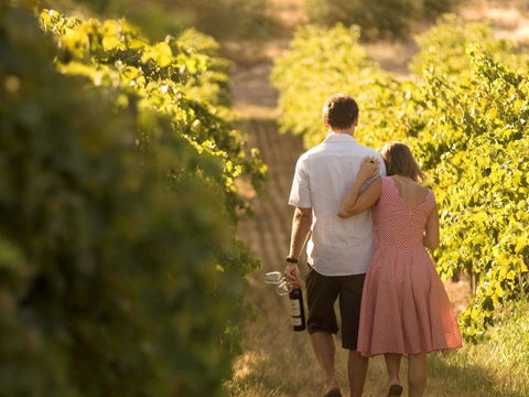 Novotel Barossa Valley Resort - Accommodation Brunswick Heads 40