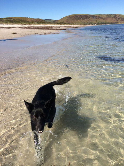 Beachside Holiday Park - Accommodation Brunswick Heads 17