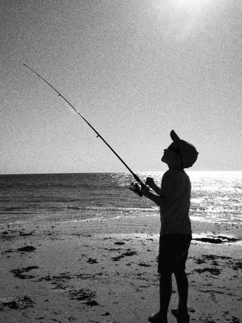 Beachside Holiday Park - Accommodation Brunswick Heads 19