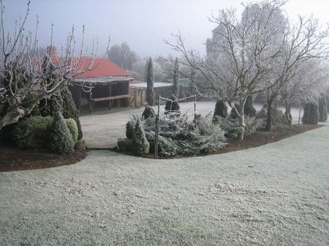 Vineyard Cottage BnB - Accommodation Brunswick Heads 15