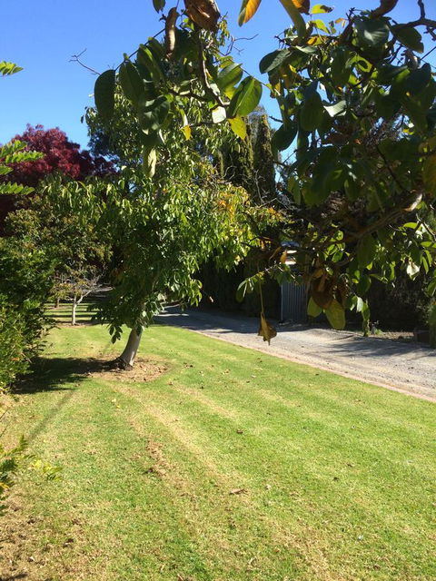 Vineyard Cottage BnB - Accommodation Brunswick Heads 17