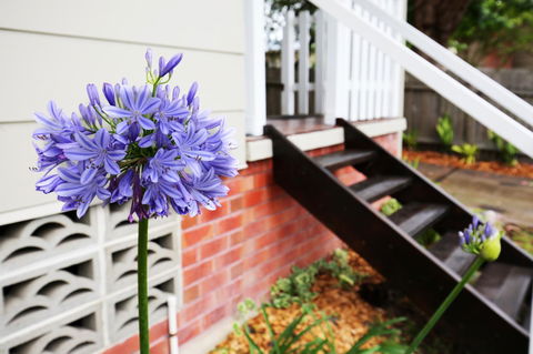 Hudson Bay @ Basin View-Pet Friendly-15 Mins To Hyams Beach - Accommodation Brunswick Heads 38