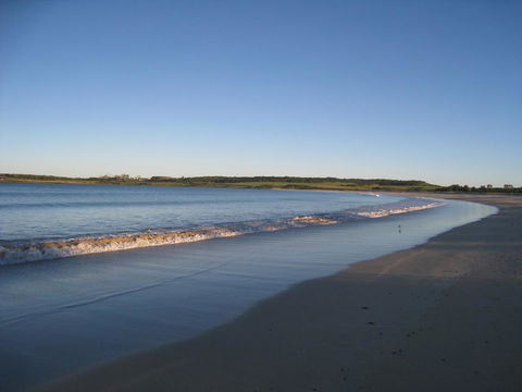 Pelicans Rest Shellharbour - Accommodation Brunswick Heads 17