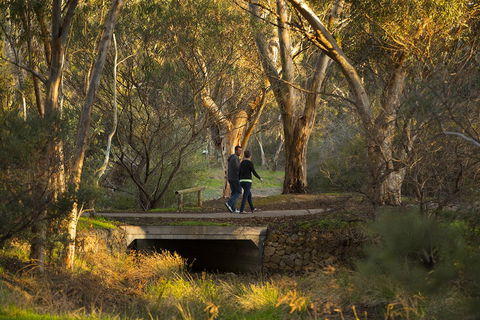 BIG 4 Barossa Tourist Park - Accommodation Brunswick Heads 26