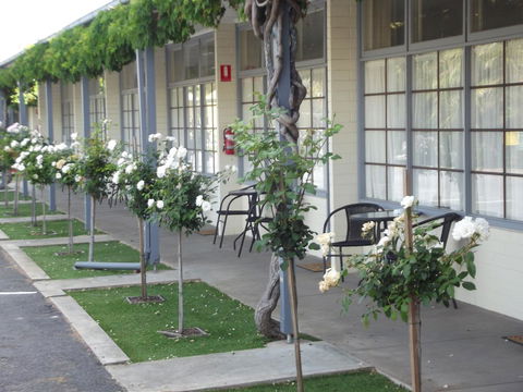 Guichen Bay Motel - Accommodation Brunswick Heads 38
