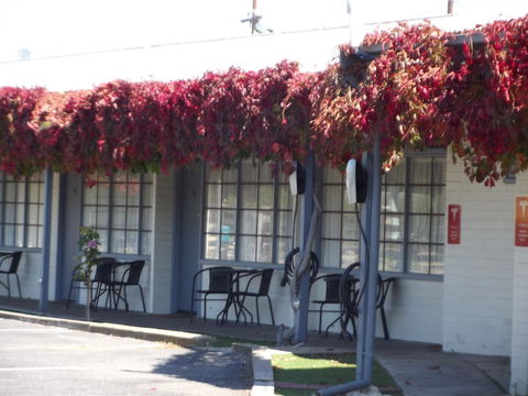 Guichen Bay Motel - Accommodation Brunswick Heads 23