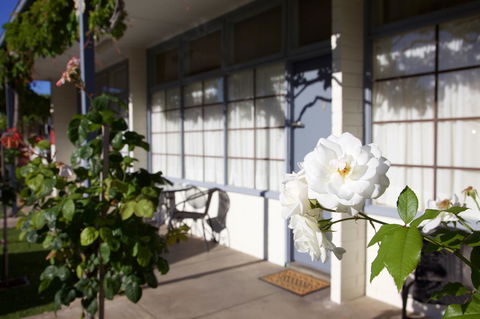 Guichen Bay Motel - Accommodation Brunswick Heads 33