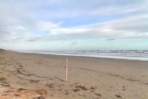 SeaWatch-Sea Views - Accommodation Brunswick Heads 6