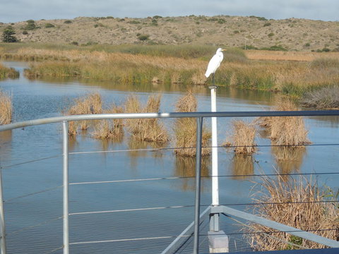 PS Federal Retreat Paddle Steamer Goolwa - Accommodation Brunswick Heads 11