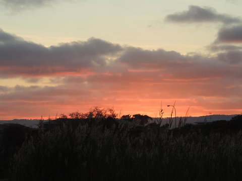 PS Federal Retreat Paddle Steamer Goolwa - Accommodation Brunswick Heads 13