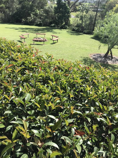 Avon View Stays Accommodation. - Accommodation Brunswick Heads 10