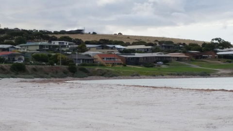 Rosie\'s - Accommodation Brunswick Heads 11