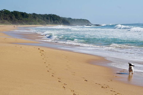Culburra Beachhouse - Accommodation Brunswick Heads 7