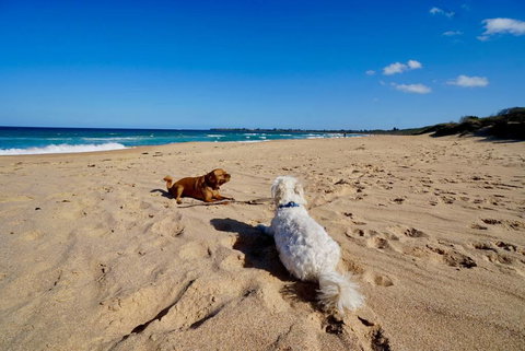 Culburra Beachhouse - Accommodation Brunswick Heads 8