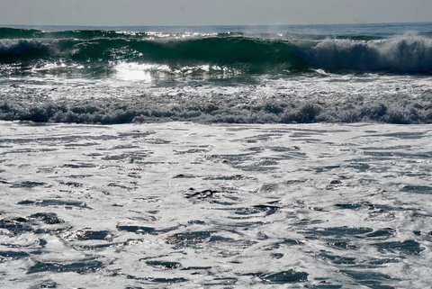 Culburra Beachhouse - Accommodation Brunswick Heads 10