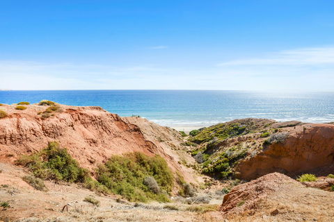 Salomon Sea Haus - Sellicks Beach - C21 SouthCoast Holidays - Accommodation Brunswick Heads 1