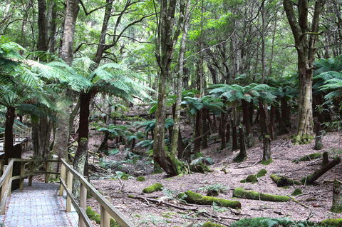Wallace Lodge - PID-STRA-16871 - Accommodation Brunswick Heads 11