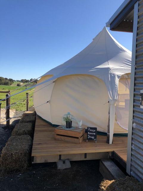 Bukirk Glamping & Fancy Coops - Accommodation Brunswick Heads 11
