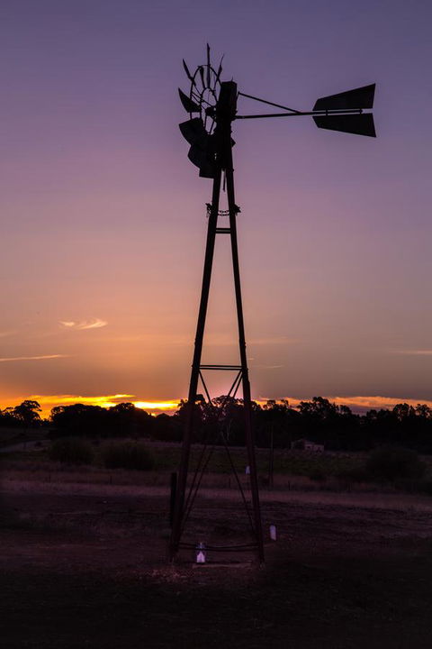 Bukirk Glamping & Fancy Coops - Accommodation Brunswick Heads 31