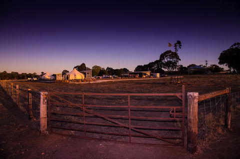 Bukirk Glamping & Fancy Coops - Accommodation Brunswick Heads 33