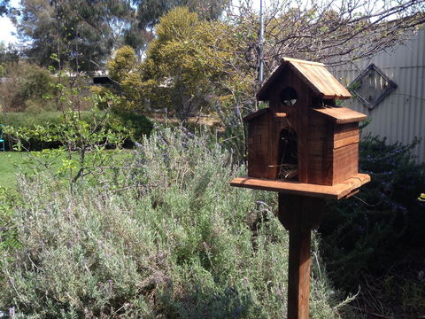 Jack\'s House B&B Clare - Accommodation Brunswick Heads 6