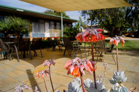 Kangaroo Island Seaview Motel - Accommodation Brunswick Heads 3