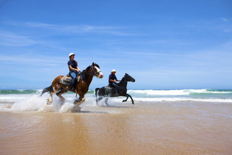 One Mile Retreat - Accommodation Brunswick Heads 26