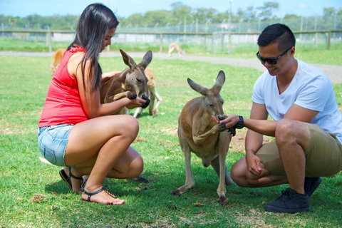 One Mile Retreat - Accommodation Brunswick Heads 25