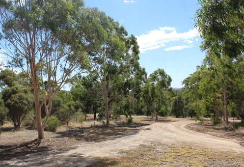 Windmill Cottage - Accommodation Brunswick Heads 16