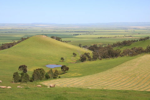 Windmill Cottage - Accommodation Brunswick Heads 2