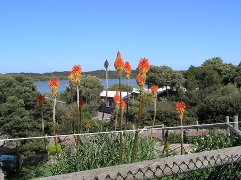 Lakeside Tourist Park - Accommodation Brunswick Heads 3