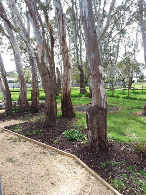 Cloisters Of Kalangadoo - Accommodation Brunswick Heads 6