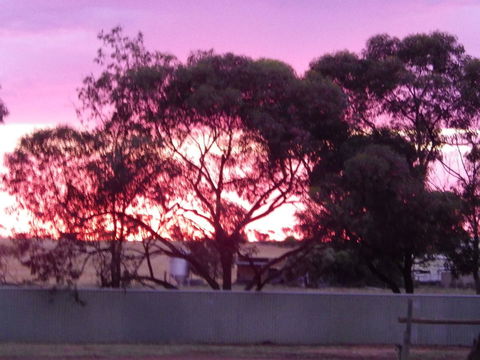 Wudinna Gawler Ranges Motel And Caravan Park - Accommodation Brunswick Heads 11