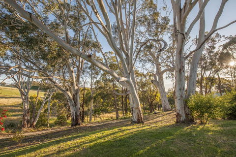 Discovery Parks - Hahndorf - Accommodation Brunswick Heads 4