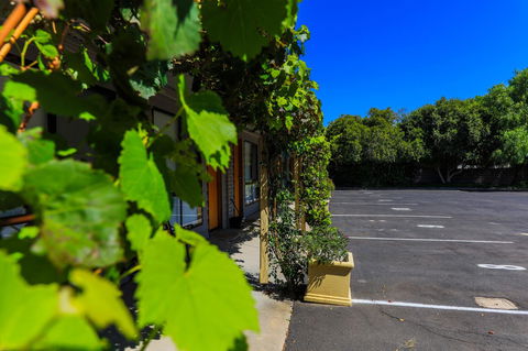 Country Roads Motor Inn Naracoorte - Accommodation Brunswick Heads 16