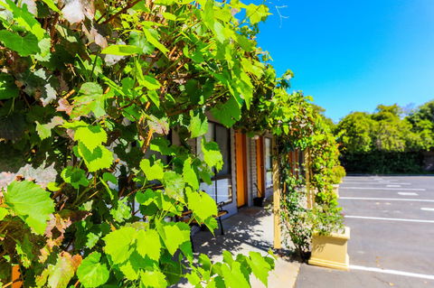Country Roads Motor Inn Naracoorte - Accommodation Brunswick Heads 18