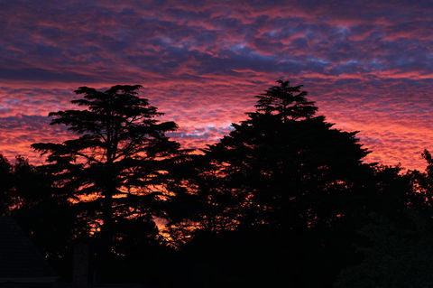 Pirralilla Estate Adelaide Hills - Accommodation Brunswick Heads 26