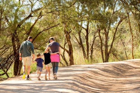 BIG4 Renmark Riverfront Holiday Park - Accommodation Brunswick Heads 13