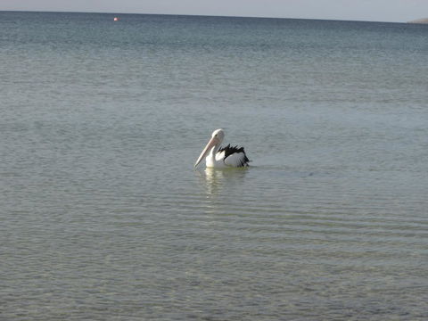 Lantauanan - The Lookout - Accommodation Brunswick Heads 2