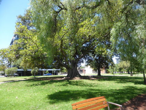 ADELAIDE CENTRAL APARTMENT - 3BR, 2BATH & CARPARK - Accommodation Brunswick Heads 30