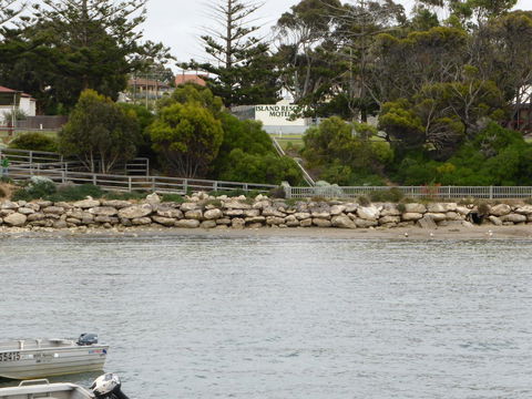 Island Motel Kingscote - Accommodation Brunswick Heads 4