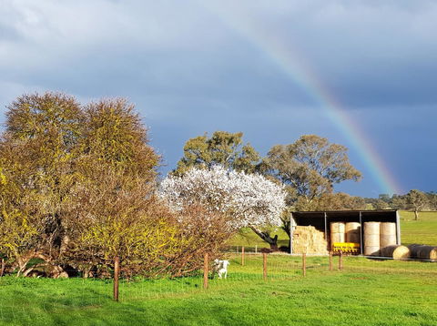 Pennys Road - Accommodation Brunswick Heads 18