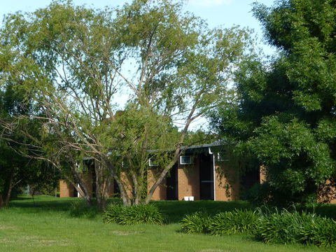 The Wine Vine Hotel - Accommodation Brunswick Heads 18