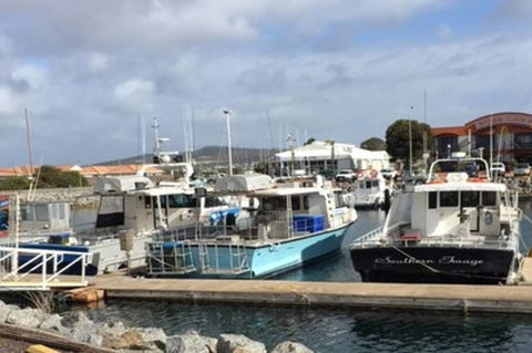 Port Lincoln Shark Apartment 2 - Accommodation Brunswick Heads 17
