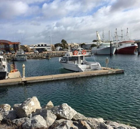 Port Lincoln Shark Apartment 2 - Accommodation Brunswick Heads 18